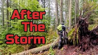POV: After The Spring Storm Ride of Tiger...