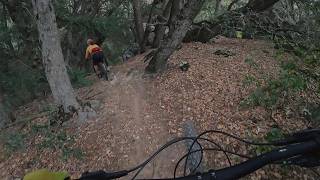 Optimator - Steep, Fun, Flow in Idyllwild, CA