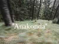 Anakonda