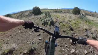 BCT: Drinking Snake and Bumble Bee Creek