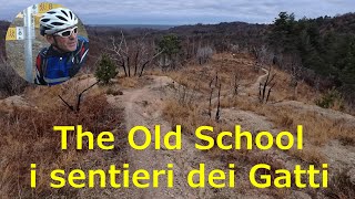 I Sentieri dei Gatti: Old School - Bavash -...