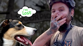 Search for a lost trail dog!