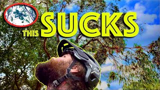 HELP ME!! My Drone is stuck in a tree