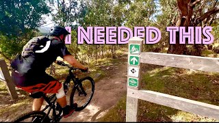 Moving SUCKS!! Mountain biking does NOT