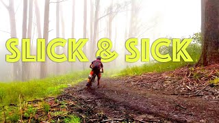 Lake Mountain MTB, Cascades trail. (The top...