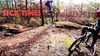 Mount Taylor- Shuttles, Loose Units and Sick...