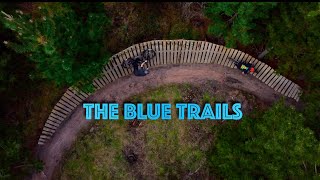 Maryvale Pines (feeling blue)