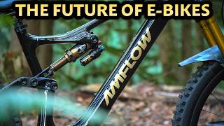 What Makes the Amflow PL Carbon Pro E-Bike So...