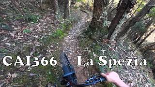 Cai366 (Barattini Trail) bei Lerici (La Spezia)