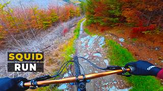 This trail is a must if you go to NZ