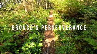 Bronco's Perseverance - Cumberland Mountain...
