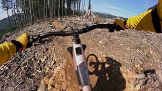 Sixth Sense, Yacolt Burn Forest MTB