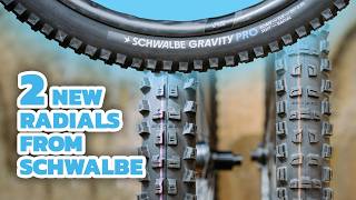 New Favorite Treads? Schwalbe Romy and a New...