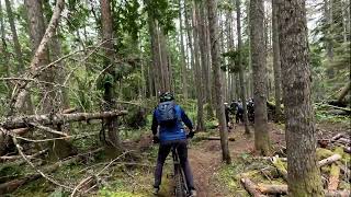 Rotten Rooter - Dumont, Nanaimo - 2026 April