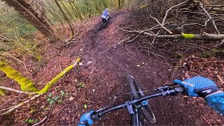 New Jump tracks and WILD enduro singletrack!