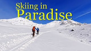 Clear Skies, Fresh Snow, Paradise Found