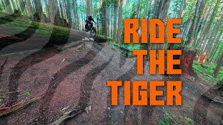 If you catch a tiger by it's tail, don't fail!...