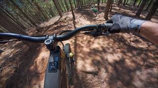 Knysna Enduro Trails | Orophile
