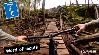 Word of Mouth | Blue trail | Squamish, BC