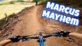 New Flow Trail at Mystic!! (& More)
