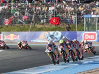 Red Bull MotoGP Rookies Cup - Jerez: Race 2
