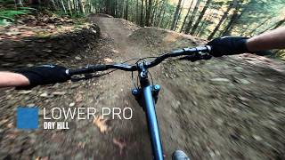 Lower Pro Trail POV | Dry Hill | Port Angeles, WA