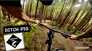 Ditch Pig | Single Black trail | Squamish, BC