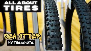 Would You... Radial? // Sea Otter Classic //...