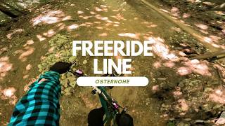 Freeride Line  Bikepark Osternohe Trail Review...