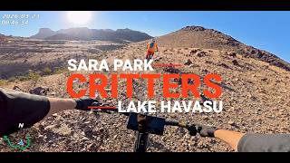 Critters Mtb Trail