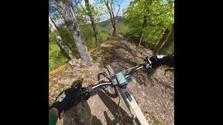 Trailview: Boppard, Alter Wolfskopf