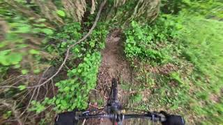 Boscheggia & Campra B8 - Elvo Natural Trail