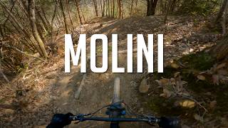 Agrifoglio to Sputnik | Molini di Triora 2026