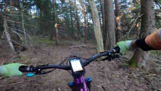 Varnerwald (Varen, POV, Switzerland)