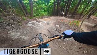 Tigergoose | RAW Run | Queenstown
