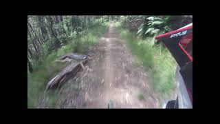 Delatite River Trail