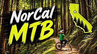 |EP 107| SANTA CRUZ | SEA OTTER | SLO | 2026