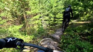 Black Fly to Grizzyle to Nimbus - Ridge...