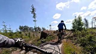 Wonderwall - Ridge Runner, Nanaimo - 2026 April
