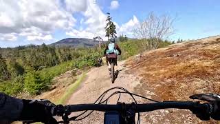 Hot Tamale - Ridge Runner, Nanaimo - 2026 April