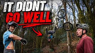 WE BUILT A NEW FEATURE IN MY BACKYARD!  And...