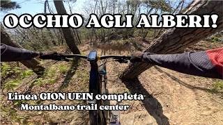 Linea Gion Uein completa: Vedove + Medicea +...