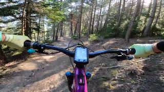 Varnerwald (Varen, POV, Switzerland, Valais, eMTB)