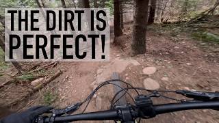 POV: Perfect dirt makes for good decisions