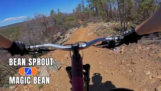 Bean Peaks Trail Guide: Bean Sprout + Magic Bean