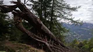 Diepja to Zeneggen trails POV, Valais, eMTB,...
