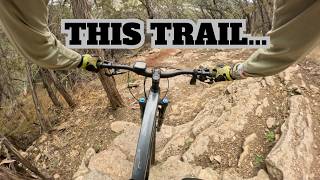 Should You Ride Sticky Icky Spider Mountain? |...