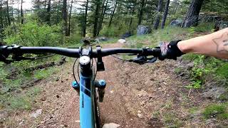 Pine Street Woods - Zen Garden (full) aka...