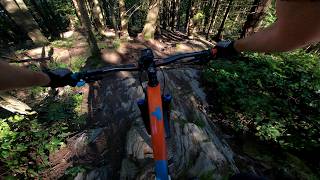 Rick Rolled MTB Trail -- Bellingham, WA
