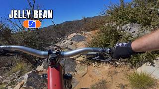 Bean Peaks Trail Guide: Jelly Bean
